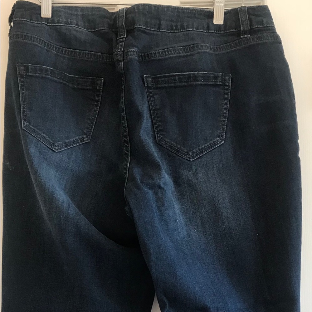 Lane Bryant Genius Fit Boyfriend Fit Jeans
